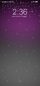 Star Purple_DWM3