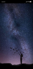 星愿与你