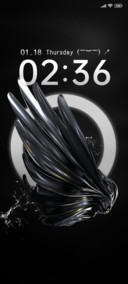 Mirror Feather