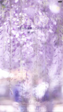 粉红系