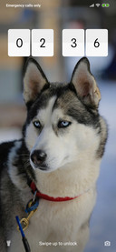 Husky_3MDP