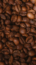 coffee beans