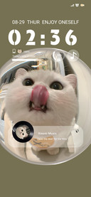 Cat Open The Door