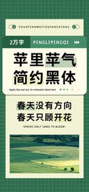 苹里苹气简约黑体