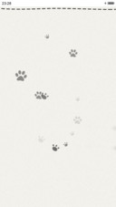 波斯猫《简约版》