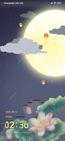 moon and flowers