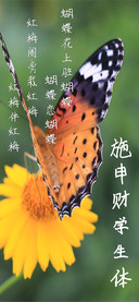 施申财学生体