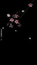一点花香