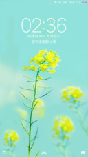 护眼清晰小黄花