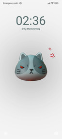 star cat