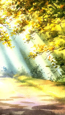 Sunshine scenery picture