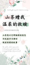 山茶赠我温柔的救赎