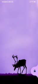 Deer tri