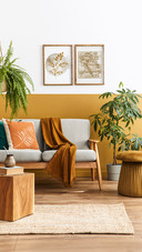 Living Room with Design Grey Velvet Sofa and Furniture