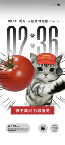 搞笑小猫日常 动态