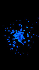 Blue gem