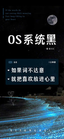 OS系统黑