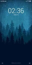 Night Forest 