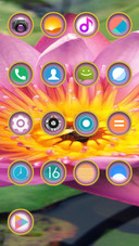 Lotus_DWM2