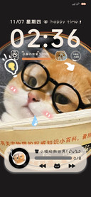 坡坡猫大脸萌