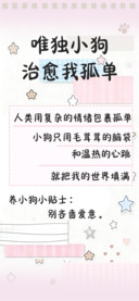 唯独小狗治愈我孤单
