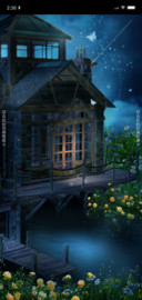 唯美花屋夜色