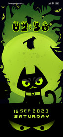 Scary Cat