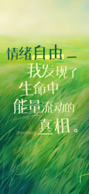 抹茶团子圆球滚滚
