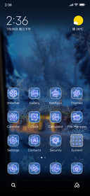 Winter Snowflakes