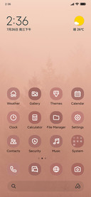 Foggy Forest