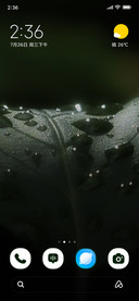 Morning Dew