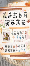 我遗忘你时黄昏消散
