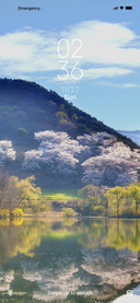 Rural scenery