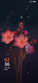 护花守卫