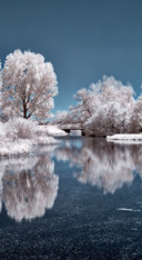 Beauty of Earth (4)