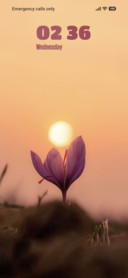 Evening