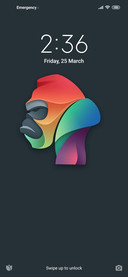 kong