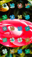 Beautiful Flower_DWM2