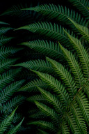 jude-beck-DX4KN-8EANI-unsplash