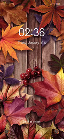 Autumn Leaves