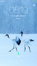 雪中情