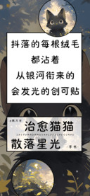 治愈猫猫散落星光