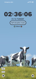 Pastoral