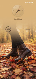 Autumn Walk