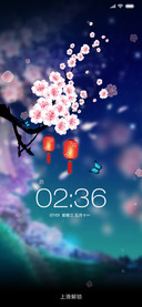 醉美樱花