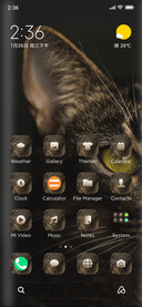 Cute_Cat_Four