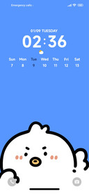 Funny Duck