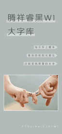 腾祥睿黑W1大字库