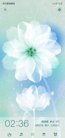 一季花开