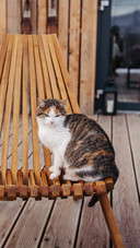 Sit on the terrace chair